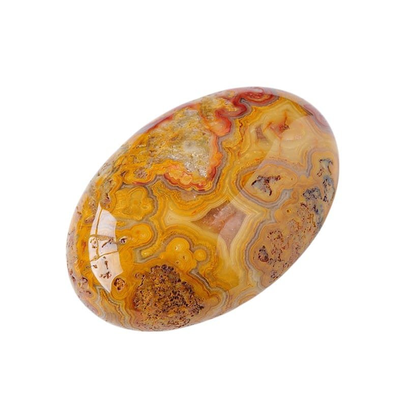 1.97-2.36 in Agate Palm Stone Wholesale