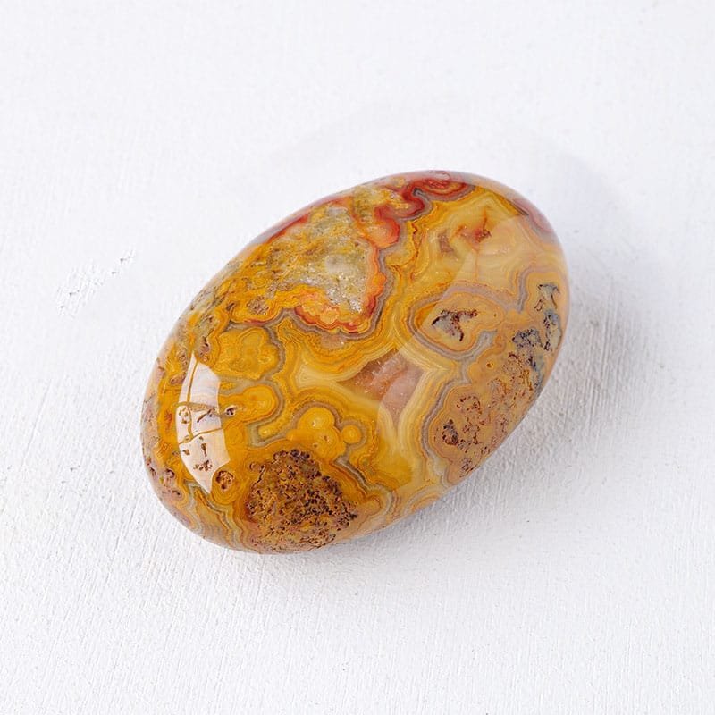 2.36 in Agate Palm Stone Bulk
