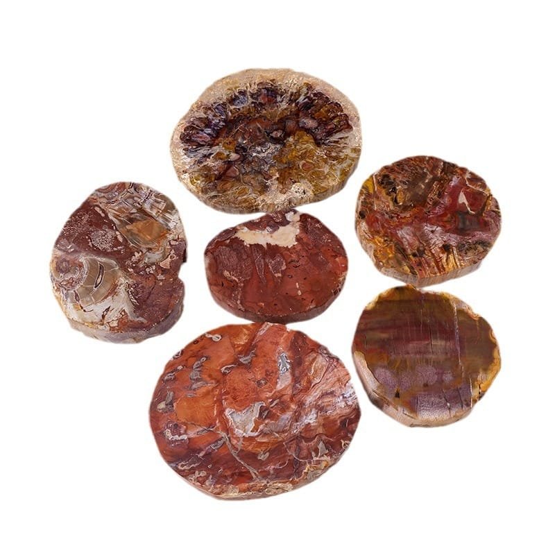 4 Sizes of Red Petrified Wood Crystal Crystal Slices Wholesale