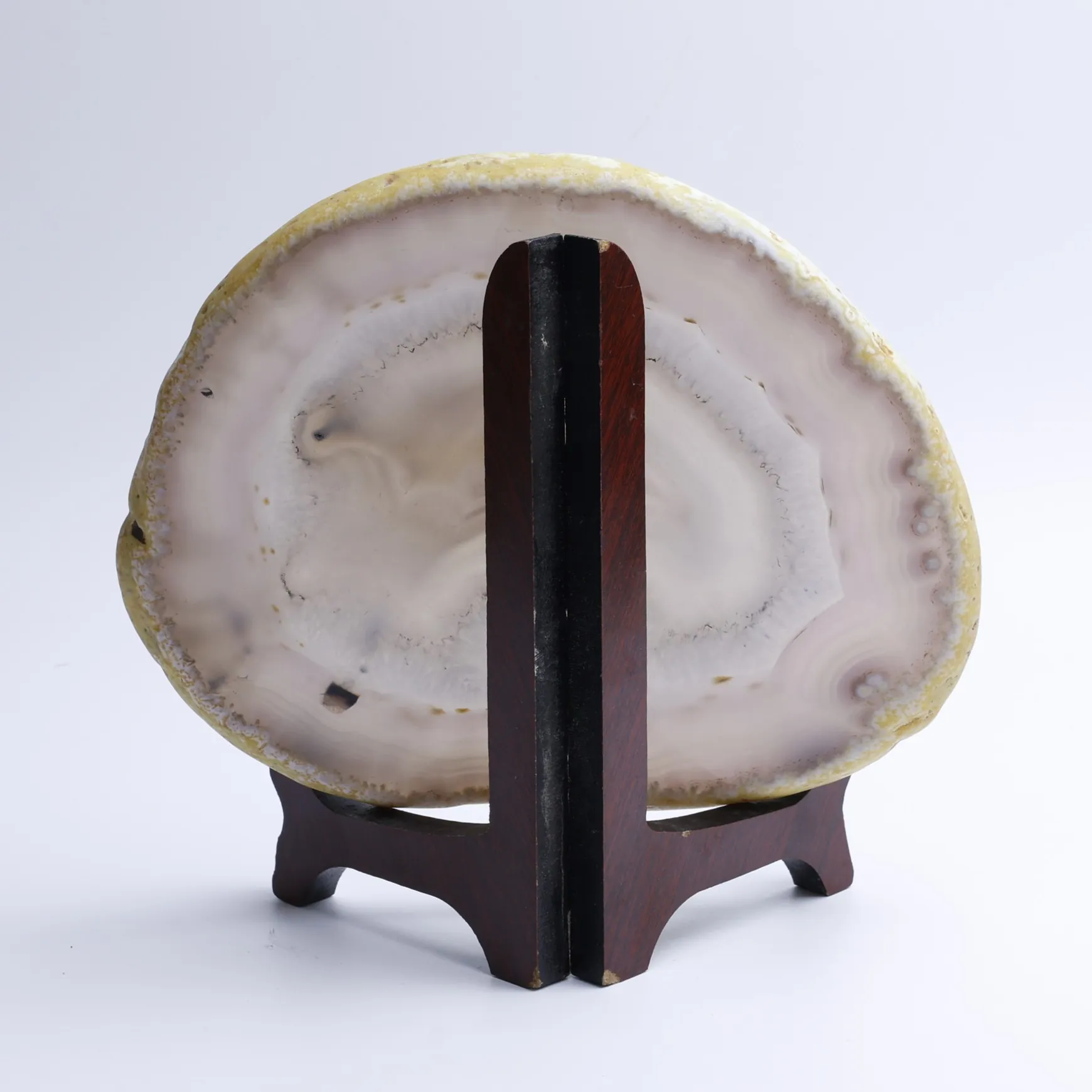 Natural Brazilian Agate Slice Display Specimen with Wooden Stand 6.3-7.9 in - 2