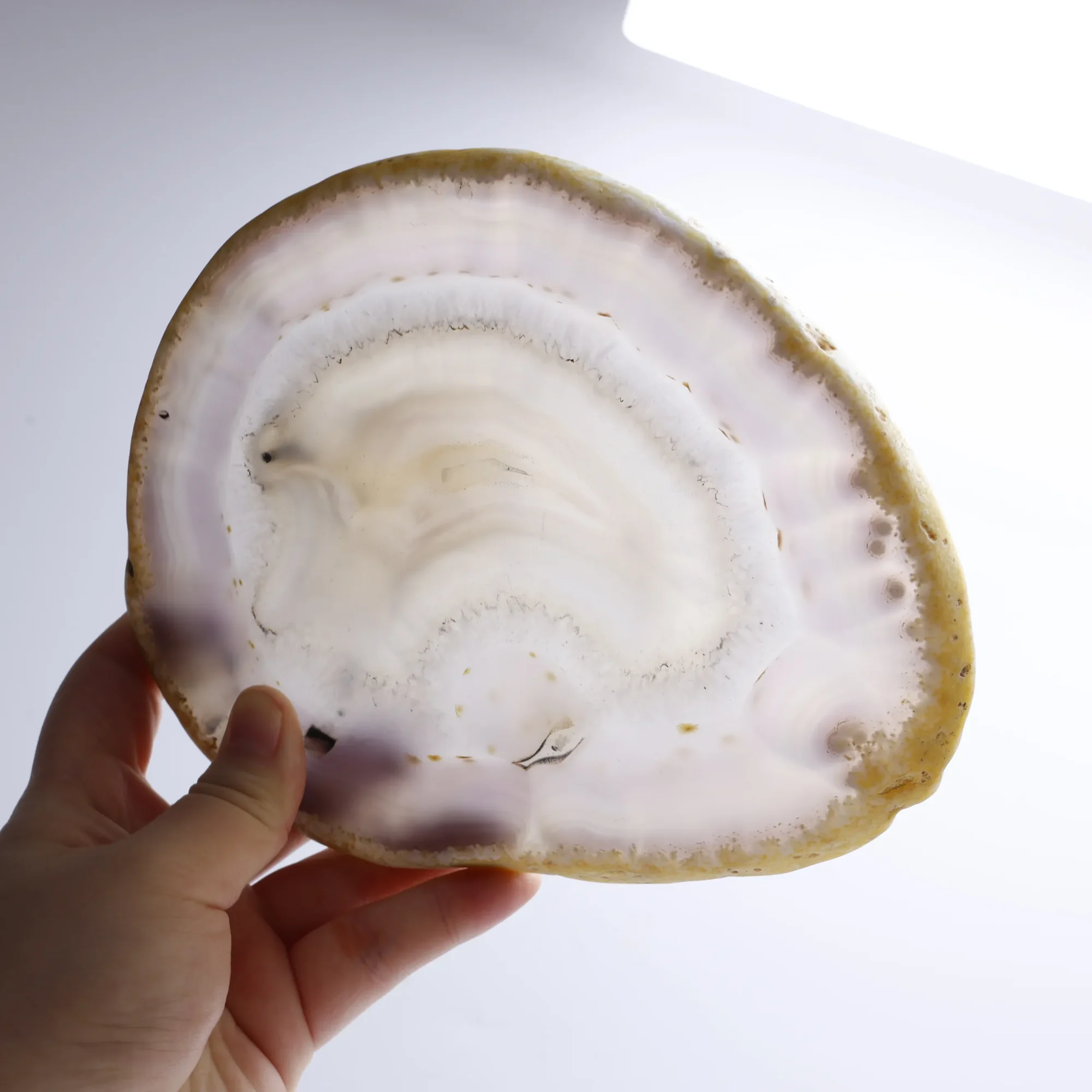 Natural Brazilian Agate Slice Display Specimen with Wooden Stand 6.3-7.9 in - 3
