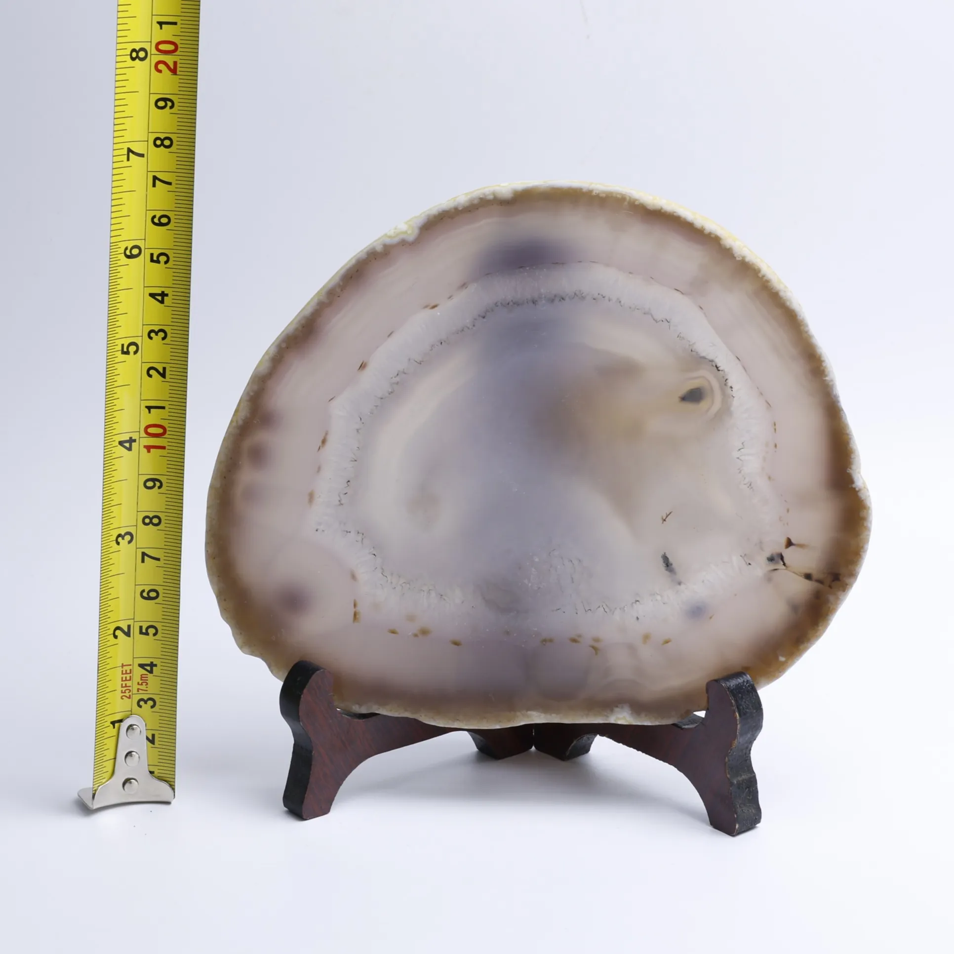 Natural Brazilian Agate Slice Display Specimen with Wooden Stand 6.3-7.9 in - 4
