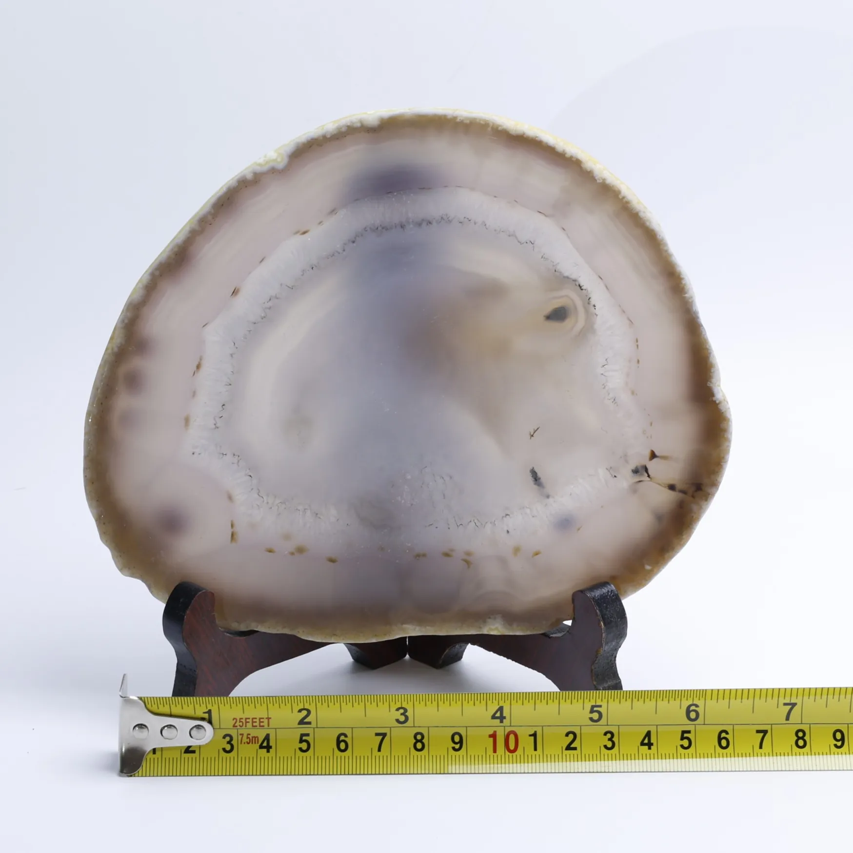 Natural Brazilian Agate Slice Display Specimen with Wooden Stand 6.3-7.9 in - 5