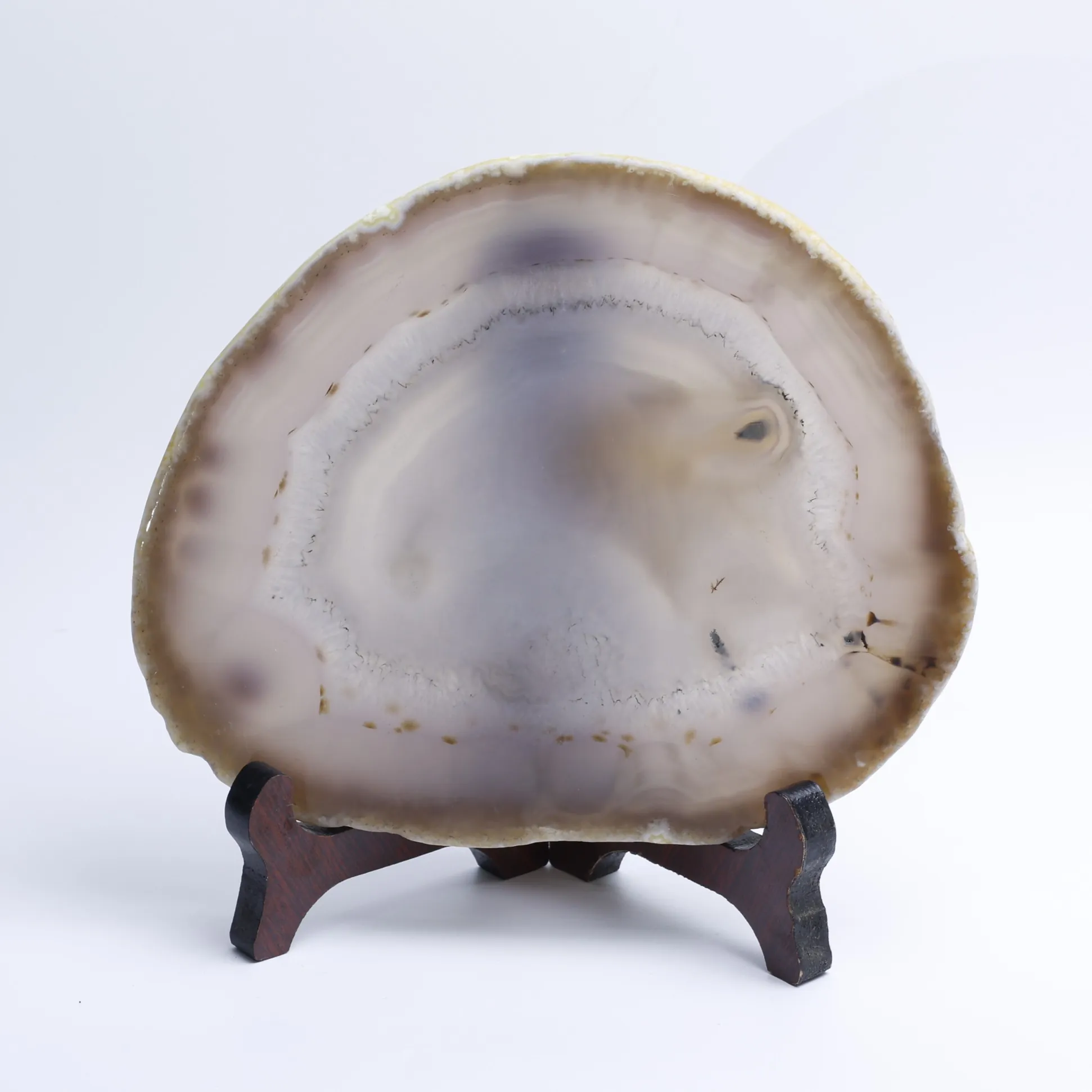 Natural Brazilian Agate Slice Display Specimen with Wooden Stand 6.3-7.9 in