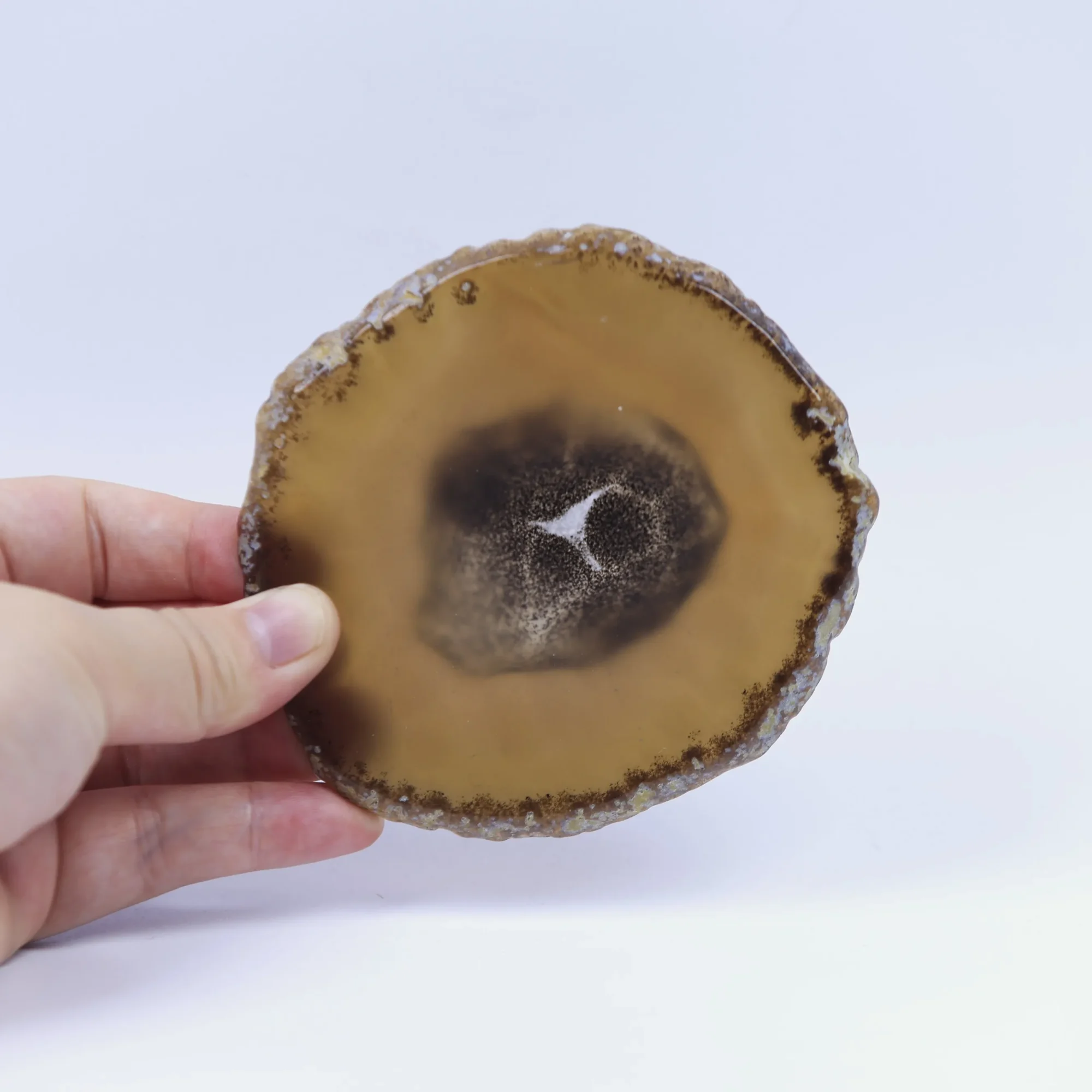2-Color Natural Brazilian Agate Slices (3.5-3.9 in ) - Red